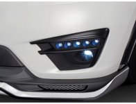 resize_image (1).jpg