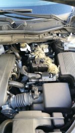 IMG-20180416-WA0009.jpg