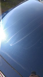 IMAG1385.jpg IMAG1385.jpg