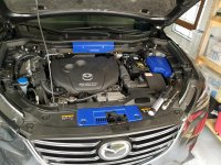 15FEDDE2-DB20-43CF-96B0-0873CC89FE51.jpg 15FEDDE2-DB20-43CF-96B0-0873CC89FE51.jpg