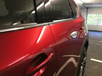 UNADJUSTEDNONRAW_thumb_471.jpg UNADJUSTEDNONRAW_thumb_471.jpg