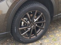 UNADJUSTEDNONRAW_thumb_103c.jpg UNADJUSTEDNONRAW_thumb_103c.jpg