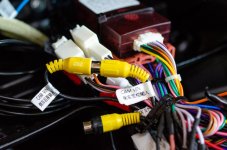 dasaita-6.jpg dasaita-6.jpg