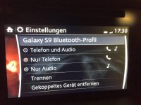 13_Beide_via_BT_-_S9_Einstellungen_alles_auswÃ¤hlbar.jpg
