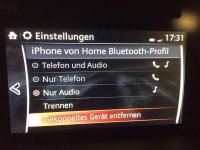 14_Beide_via_BT_-_iPhone_Einstellungen_alles_auswÃ¤hlbar.jpg