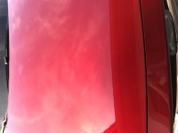 IMG_3172.jpg