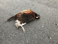 2019-01-26 10.59.02.jpg