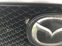 2019-01-26 11.01.45.jpg