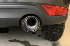 IMG_6517.jpg IMG_6517.jpg