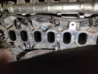 IMG_20190316_133805.jpg IMG_20190316_133805.jpg