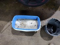 IMG_20190316_135511.jpg IMG_20190316_135511.jpg