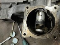 IMG_20190316_160055.jpg IMG_20190316_160055.jpg