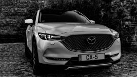 VA2_3637 Kopie_Desktop.jpg VA2_3637 Kopie_Desktop.jpg