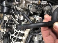 IMG_5655.jpg IMG_5655.jpg