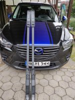 Reling.jpg Reling.jpg