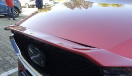 IMG_8696.jpg IMG_8696.jpg