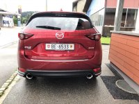 IMG_3503.jpg IMG_3503.jpg