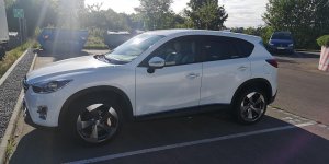 IMG_20200512_080454.jpg IMG_20200512_080454.jpg