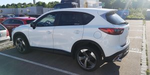 IMG_20200512_080459.jpg IMG_20200512_080459.jpg