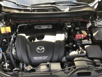 C3CFB8C7-9C4D-4E3C-A39D-B9180F6FE7A4.jpg C3CFB8C7-9C4D-4E3C-A39D-B9180F6FE7A4.jpg