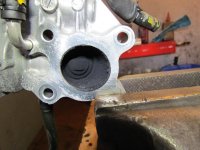 IMG_9737.jpg IMG_9737.jpg