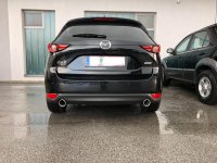 E9611801-C9EB-4A7E-860A-135625A12F6C.jpg E9611801-C9EB-4A7E-860A-135625A12F6C.jpg