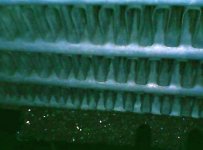 Screenshot_20200811-122208_USB Camera.jpg Screenshot_20200811-122208_USB Camera.jpg