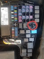 20201115_110821.jpg 20201115_110821.jpg