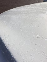 ImageUploadedByTapatalk1425396863.235516.jpg
