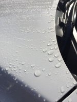 ImageUploadedByTapatalk1425396875.117275.jpg