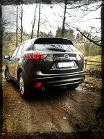 waldrand4.jpg waldrand4.jpg