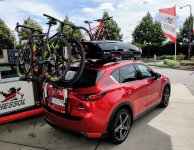 IMG_20210808_120455.jpg IMG_20210808_120455.jpg