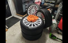 Screenshot_20211120-191601_Photos~2.jpg Screenshot_20211120-191601_Photos~2.jpg