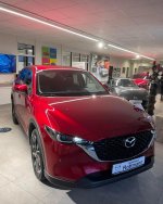 0FD44810-F118-4DB7-B56D-D941770F3FE9.jpeg 0FD44810-F118-4DB7-B56D-D941770F3FE9.jpeg