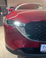 97D6CD67-CD18-4D04-973D-7720A3D965E8.jpeg 97D6CD67-CD18-4D04-973D-7720A3D965E8.jpeg