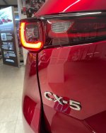 6A29861E-EED6-4344-937A-0ACEB3A24775.jpeg 6A29861E-EED6-4344-937A-0ACEB3A24775.jpeg