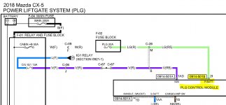 08_PLG_2I_Dauerplus_hellgrünes_Kabel_am kleinen Stecker des PLG_Wiring.JPG