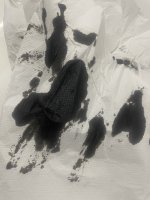2E85915B-645B-45EC-89FC-D0B57B4ADC05.jpeg