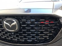 IMG_1393.JPG IMG_1393.JPG