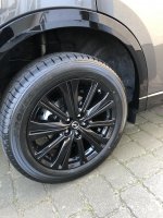 IMG_1394.JPG IMG_1394.JPG