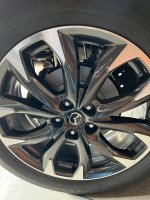 IMG_0613.JPEG IMG_0613.JPEG