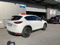 1A222F6C-650B-4231-9F19-5EB1A8D9DF4E.jpeg 1A222F6C-650B-4231-9F19-5EB1A8D9DF4E.jpeg