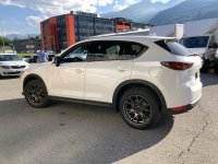 5B010B95-7AA5-47DA-9F0D-9640E5E15895.jpeg 5B010B95-7AA5-47DA-9F0D-9640E5E15895.jpeg