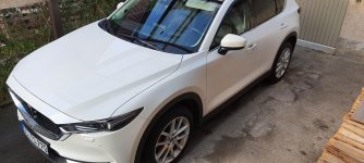 20221001_174212.jpg 20221001_174212.jpg