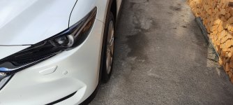 20221001_174107.jpg 20221001_174107.jpg