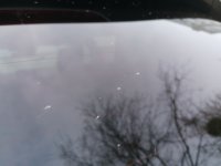 IMG_20230101_114616.jpg