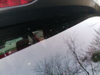 IMG_20230101_114706.jpg