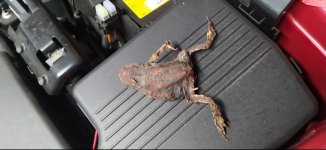 Screenshot_20230102-233650_Photos~2.jpg Screenshot_20230102-233650_Photos~2.jpg