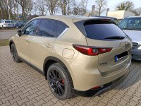 IMG-20230204-WA0003 1.jpg