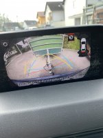 IMG_4553.jpeg